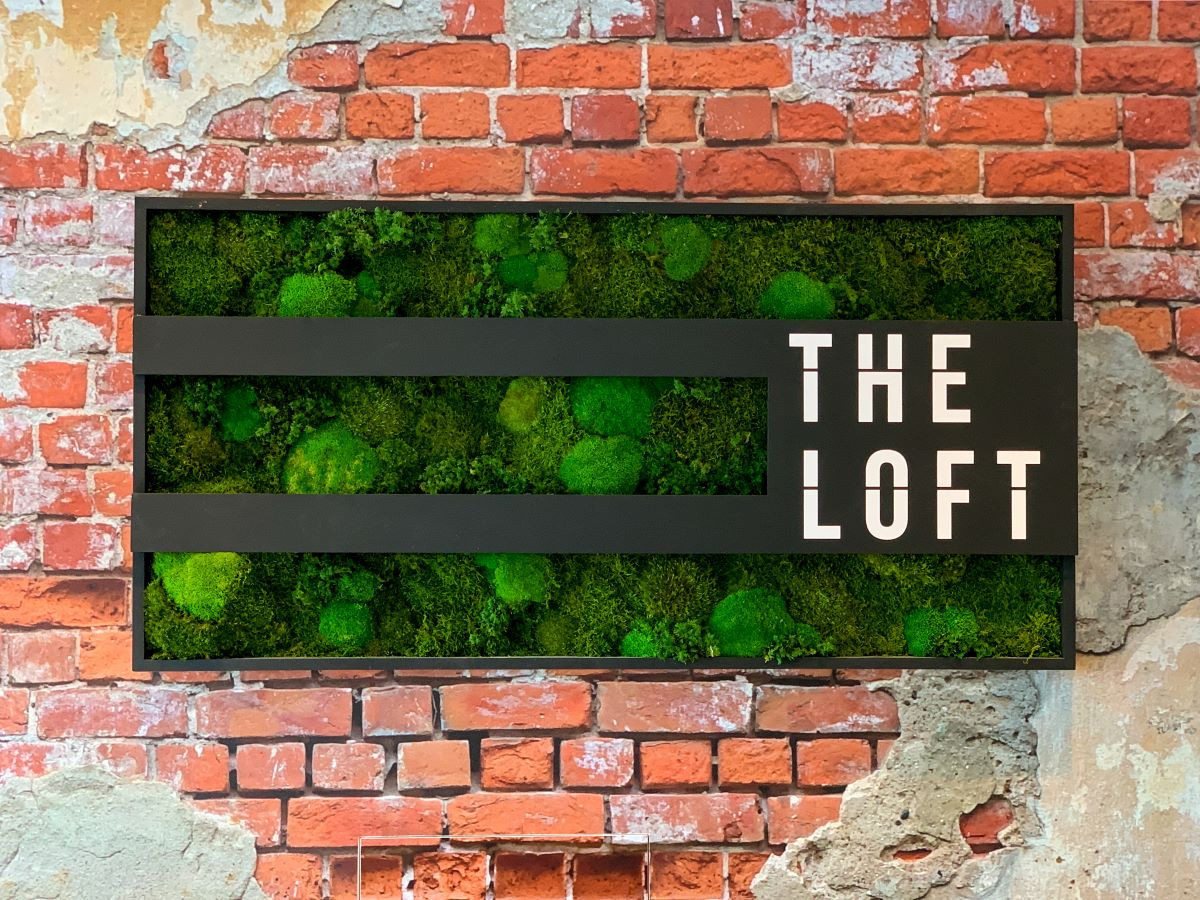 The Loft